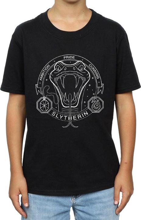 Actual product image Boys Slytherin Seal T-Shirt (116)