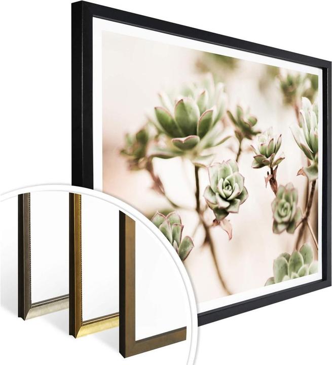 Immagine prodotto Trenddeko Piccole piante grasse (80 x 60 cm)