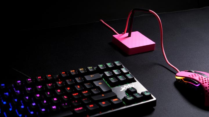 Actual product image CHERRY xtrfy B4 Mouse bungee