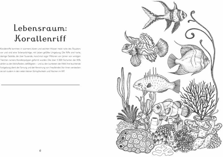 Immagine prodotto Il museo degli animali. Il mio libro da colorare