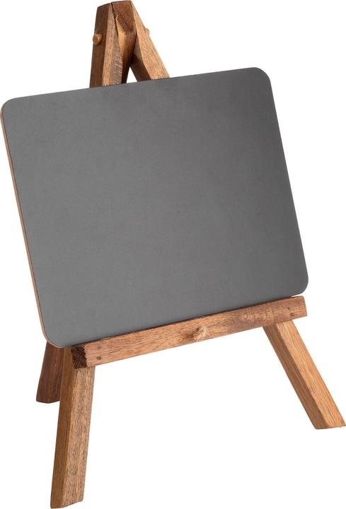 Actual product image APS Mini easel