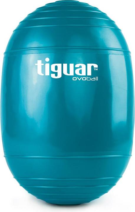 Actual product image Tiguar ovoball TI-V001M gymnastic ball (16.50 cm)