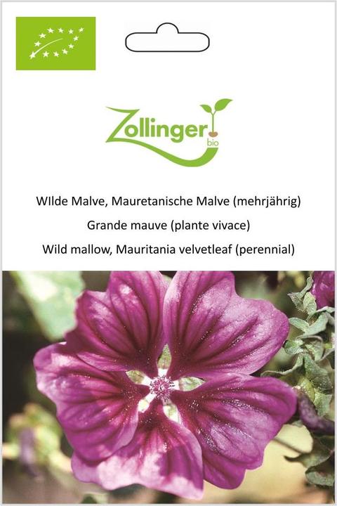 Actual product image Zollinger Bio Wild mallow, Mauritanian mallow (perennial) (Flower seeds)