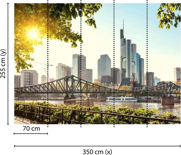 Produktbild Livingwalls Designwalls Frankfurt City Stadt (350 x 255 cm)