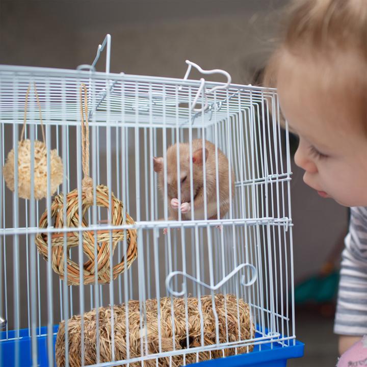 Image du produit Relaxdays Accessoires-hamster