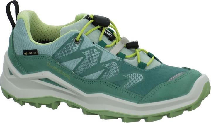 Produktbild Lowa Maddox Pro GTX LO (36)