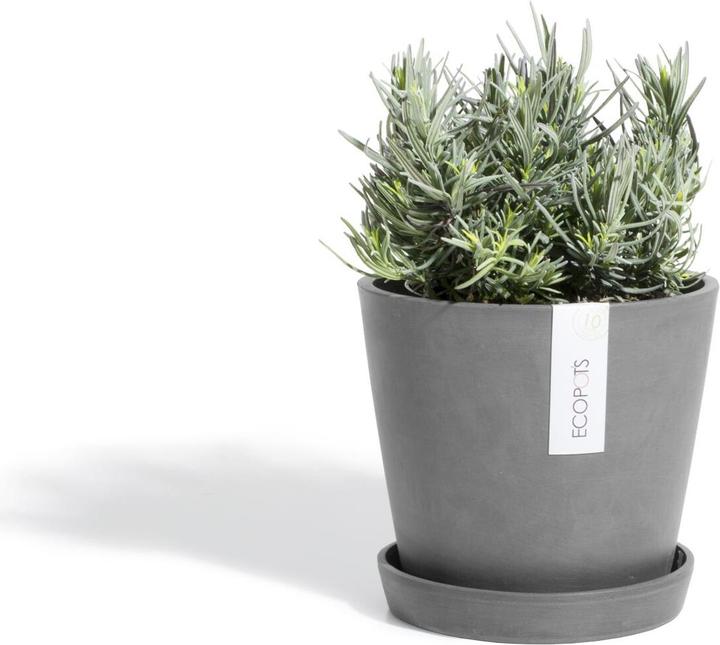 Produktbild Ecopots Amsterdam (30 cm)