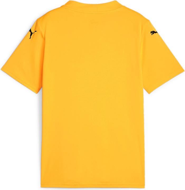 Actual product image Puma teamGLORY Jersey Jr (152)