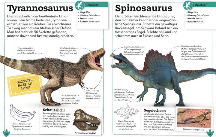 Actual product image Dinosaurier (German, DK Verlag - Kids, Dean Lomax, Eva Sixt, 2021)