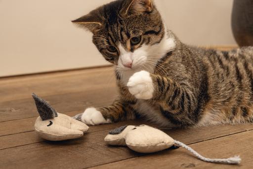 Immagine prodotto Beeztees Elefante giocattolo per gatti Minus One (Catmint giocattolo)