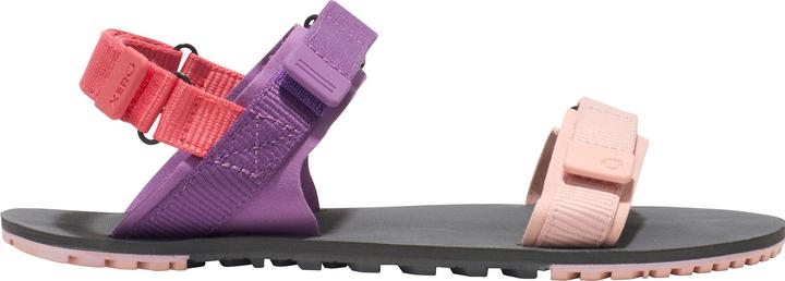 Actual product image Xero Shoes D-Trail (38.5)