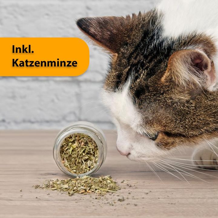 Actual product image Hermex Cat toys (Cat activity toy)