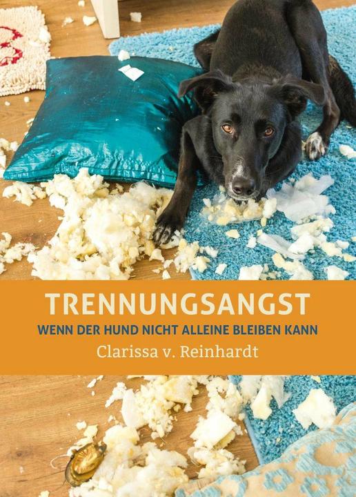 Actual product image Trennungsangst (German, Clarissa von Reinhardt, 2016)