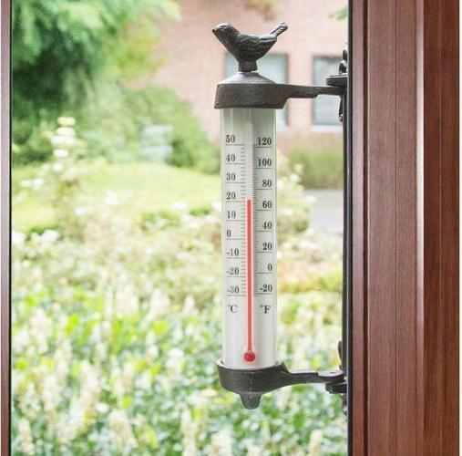 Actual product image Esschert Design Thermometer bird