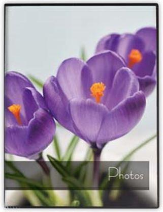 Actual product image ZEP MA4640 Mini Album 40 photos 10x15 cm 36 pcs. (10 x 15 cm)