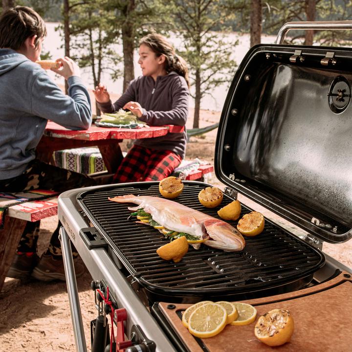 Produktbild Weber Traveler (3.80 kW)