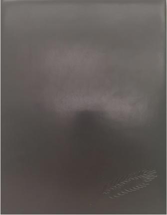 Actual product image ASL Condolence book black cowhide