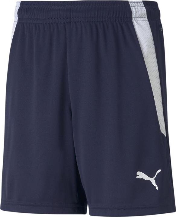 Image du produit Puma short teamLIGA Jr-704931 (176)