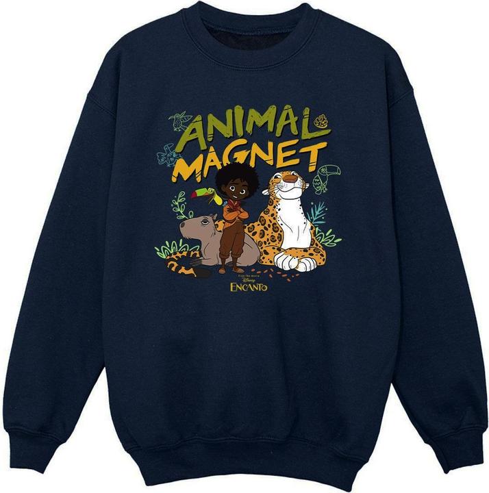 Produktbild Disney Encanto Animal Magnet Sweatshirt Mädchen (152, 158)