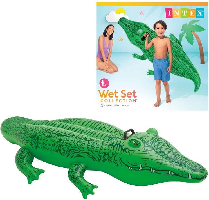 Actual product image Intex The Lil' Gator