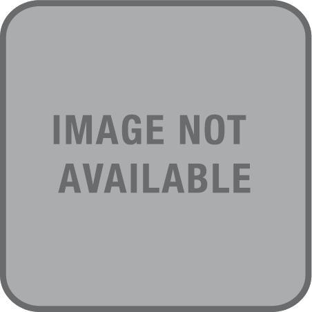 Actual product image Speedo ECO Endurance+ Medalist (128)