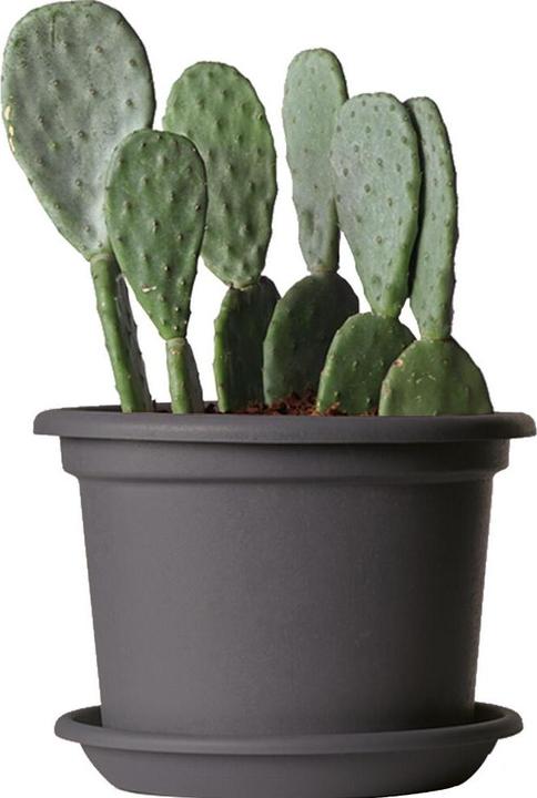 Produktbild Euro3plast Pflanzkübel (25 cm)