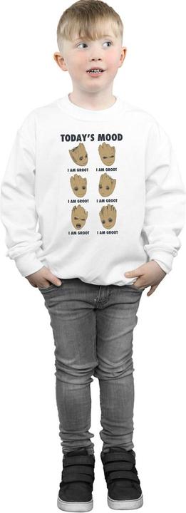 Actual product image Boys Guardians Of The Galaxy Groot Today's Mood Sweatshirt (140, 146)