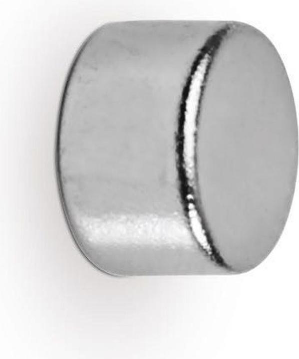 Actual product image Maul Disc magnet (10 x)