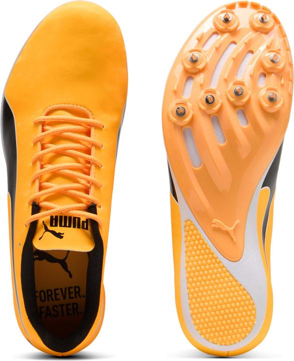 Produktbild Puma evoSPEED Sprint 14.5 (45)