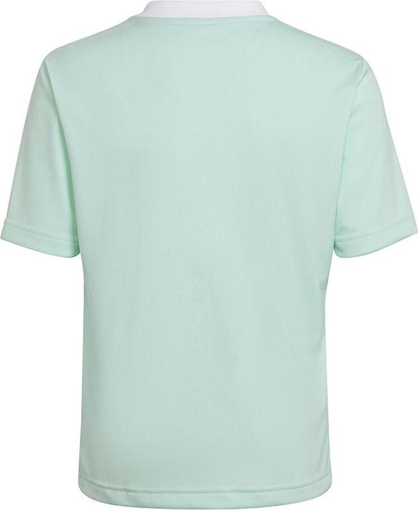 Image du produit adidas Maillot Entrada 22 (128)