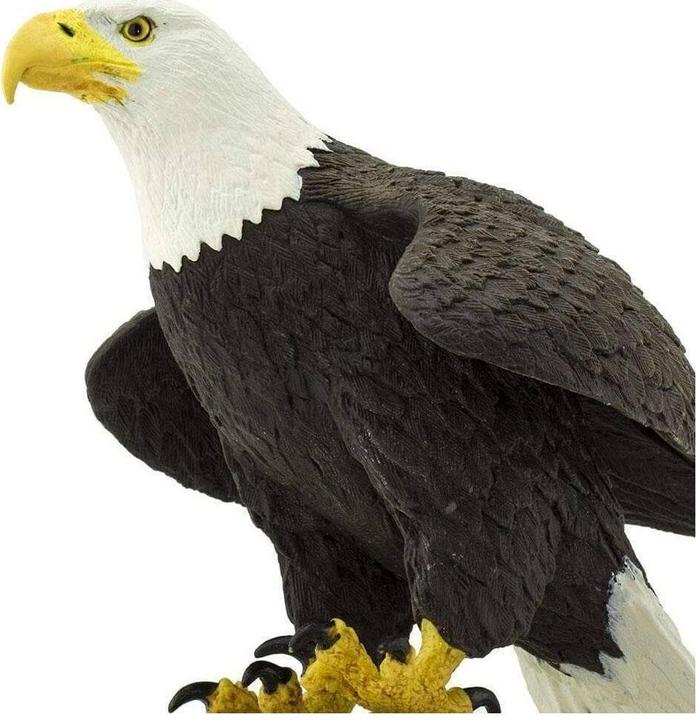 Produktbild Safari Weisskopf-Seeadler
