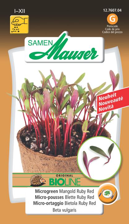 Samen Mauser Microgreen Mangold Ruby Red (Gemüsesamen)