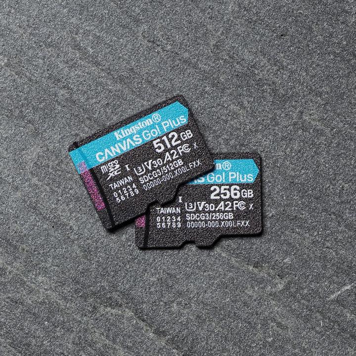 Produktbild Kingston Canvas Go! Plus microSD (256 GB, microSDXC, U3, UHS-I)