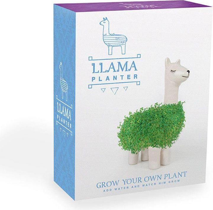 Produktbild Gift Republic Chia Pflanzenlama