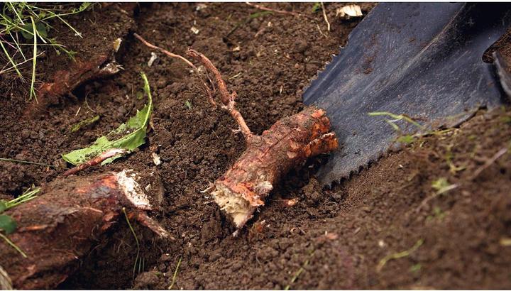 Produktbild Hammersmith RayzerShovel