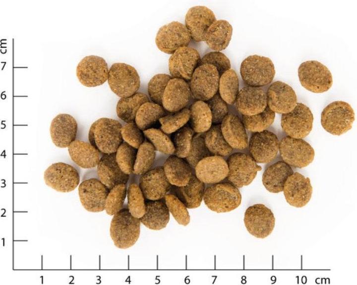 Image du produit Vegdog Green Crunch (Adulte, 1 pcs, 2000 g)