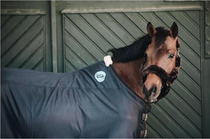 Produktbild Kentucky Horsewear Magnetische Recuptex Decke (140 cm)