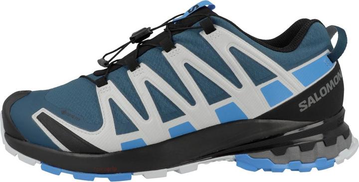 Actual product image Salomon XA PRO 3D V8 GTX MEN'S (45 1/3)