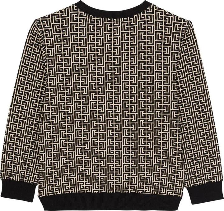 Produktbild Balmain Sweatshirt (12)