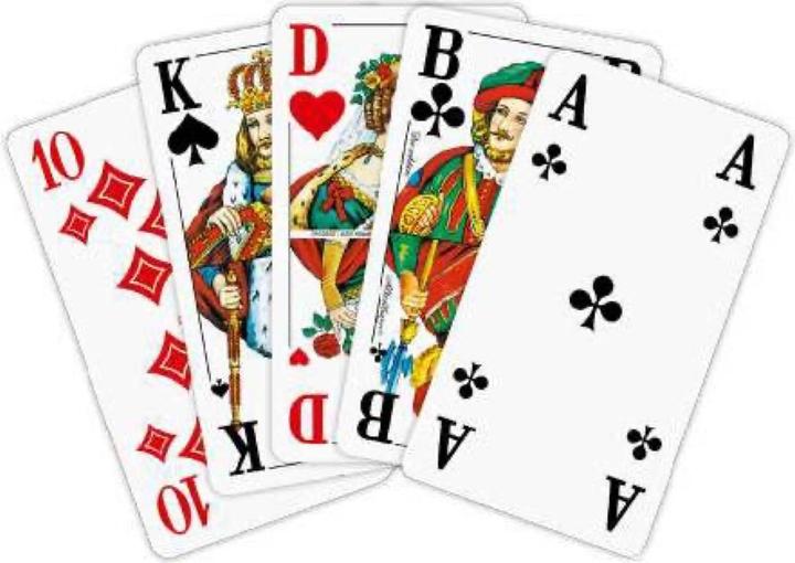 Actual product image AGM Senior rummy (German, French, Italian)
