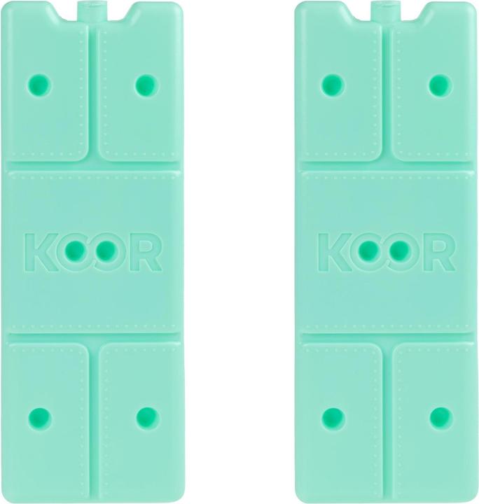 Koor Kühlelement Arctico M, Doppelpack Mint