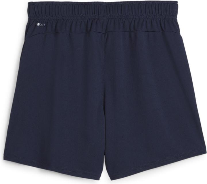 Puma teamGOAL Handball Shorts W