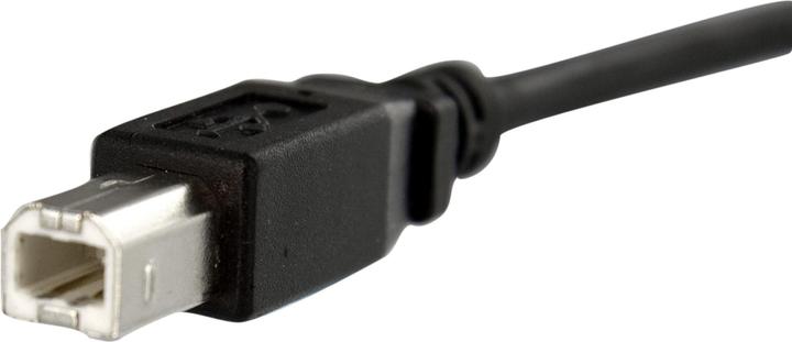 Image du produit StarTech Câble USB B to B de 30 cm pour montage en sangle - connecteur femelle/prise mâle (0.30 m, USB 2.0)