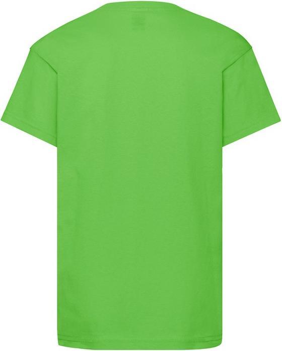 Actual product image Fruit of the Loom Childrens/Kids Original T-Shirt (164, 170)