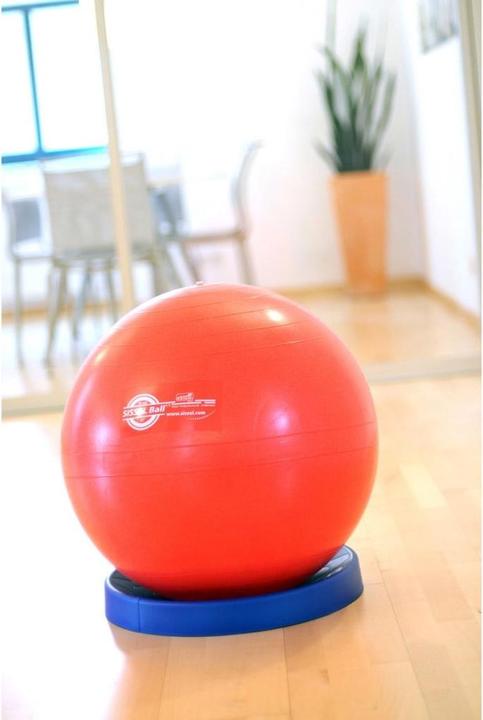 Actual product image Sissel Stabilizer (45 cm)