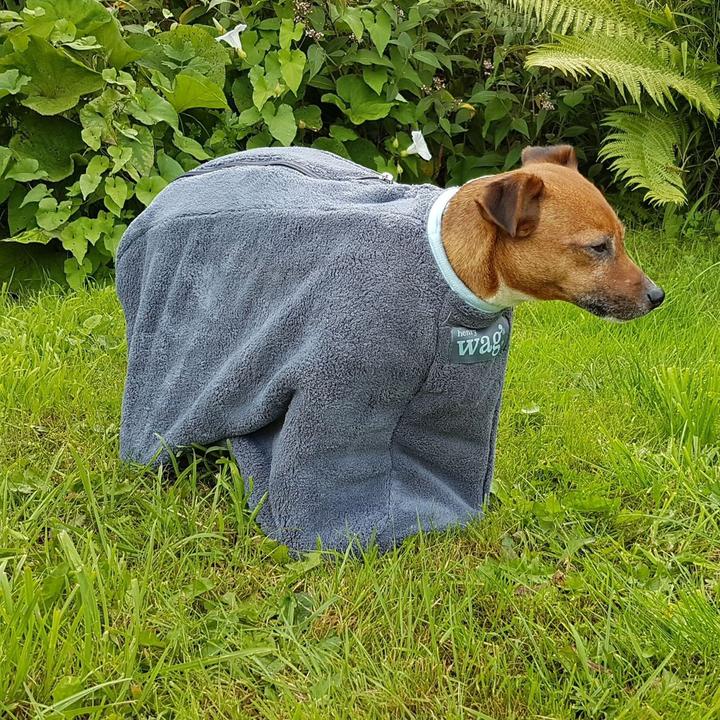 Immagine prodotto Henry Wag Asciugamano per cani (Cane)