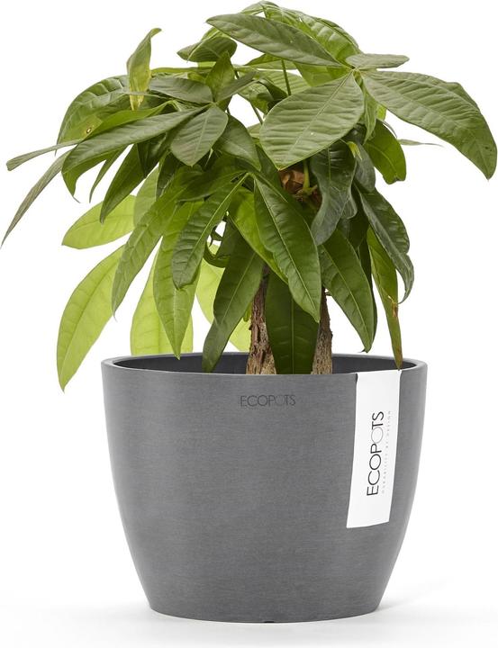 Immagine prodotto Ecopots Stoccolma (16 cm)