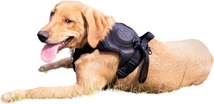 Actual product image Ancol Extreme Hybrid Dog Harness And Lead Set (M, Dog, General)