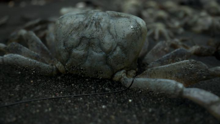 Produktbild Sony Death Stranding (Nordic Version) (PS4, EN)