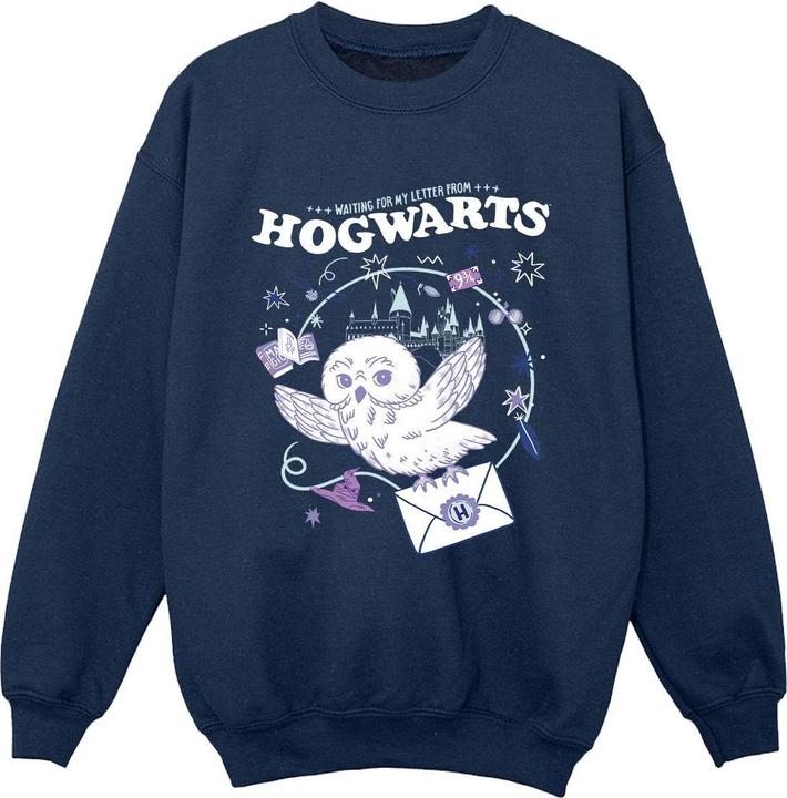 Actual product image Boys Owl Letter From Hogwarts Sweatshirt (128)